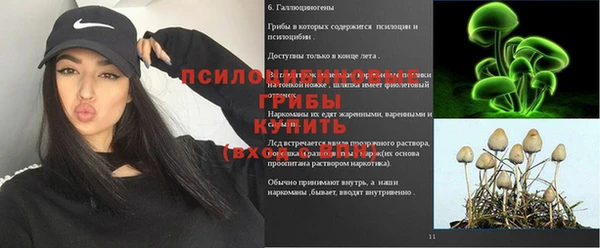 спиды Зеленодольск
